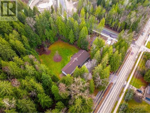 Steps to elementary - 1557 Nichol Road, Revelstoke, BC - Outdoor With View