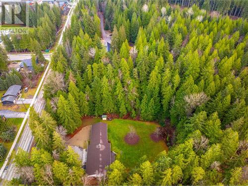 1557 Nichol Road, Revelstoke, BC - Outdoor With View