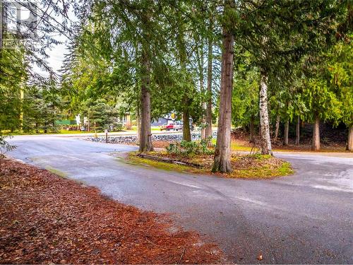 Drive around driveway - 1557 Nichol Road, Revelstoke, BC - Outdoor With View