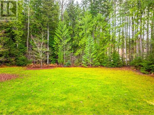 Backyard - 1557 Nichol Road, Revelstoke, BC - Outdoor