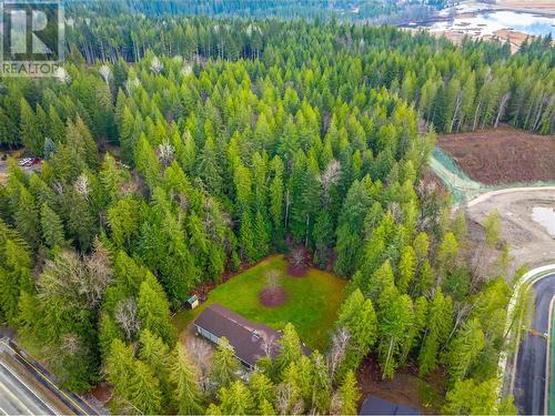 1557 Nichol Road, Revelstoke, BC - Outdoor With View