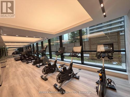 818 - 117 Broadway Avenue, Toronto, ON - Indoor Photo Showing Gym Room