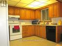 11 Judith Crescent, Brampton, ON  - Indoor Photo Showing Kitchen 