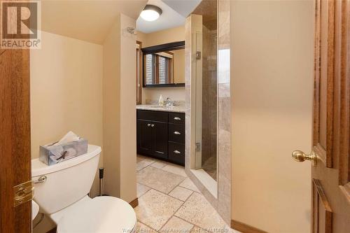 385 Lakeview Drive, Lakeshore, ON - Indoor Photo Showing Bathroom