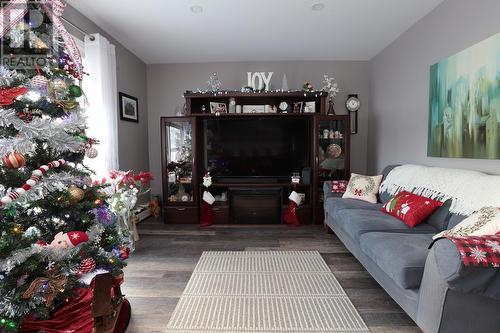 597 Pine St, Sault Ste. Marie, ON - Indoor Photo Showing Living Room