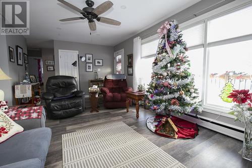 597 Pine St, Sault Ste. Marie, ON - Indoor Photo Showing Living Room