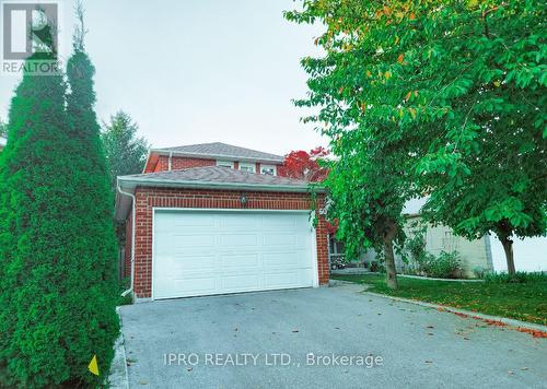 Main - 60 Lund Street, Richmond Hill, ON - Outdoor