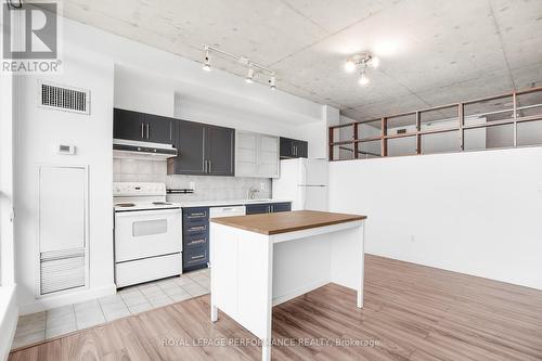 404 - 180 York Street, Ottawa, ON - Indoor Photo Showing Kitchen