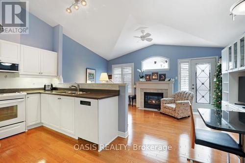 62 Waterthrush Crescent, Ottawa, ON - Indoor Photo Showing Kitchen With Fireplace With Double Sink