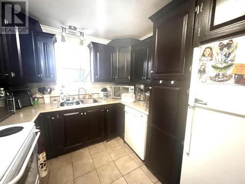 9 Earle Street, Grand Falls-Windsor, NL - Indoor Photo Showing Kitchen With Double Sink