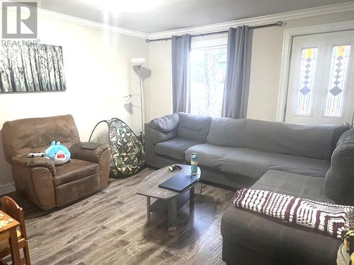 9 Earle Street, Grand Falls-Windsor, NL - Indoor Photo Showing Living Room