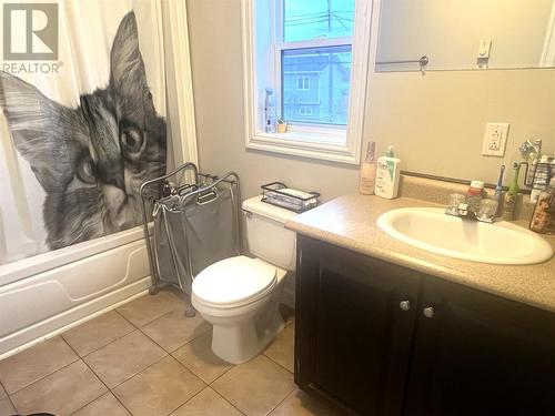 9 Earle Street, Grand Falls-Windsor, NL - Indoor Photo Showing Bathroom