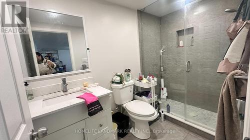 Bsmt1Br - 3179 Golden Orchard Drive, Mississauga, ON - Indoor Photo Showing Bathroom