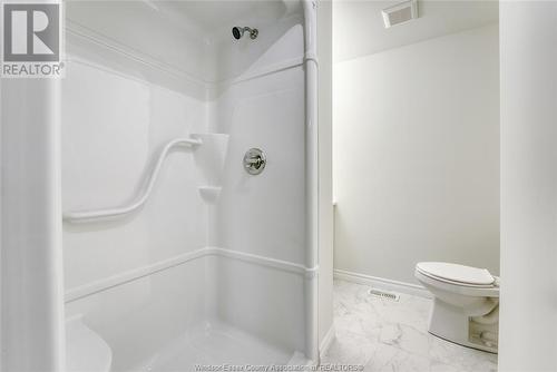 1040 Lublin Avenue, Windsor, ON - Indoor Photo Showing Bathroom