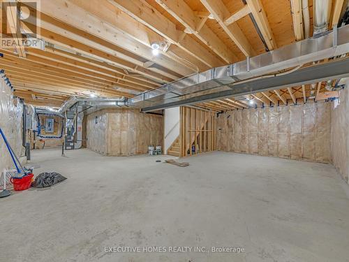 4277 John Ross Court S, Windsor, ON - Indoor Photo Showing Basement