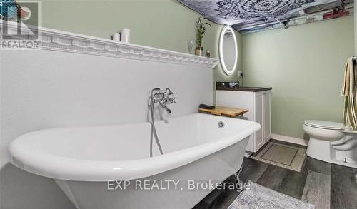 1 - 62 Burgar Street, Welland (768 - Welland Downtown), ON - Indoor Photo Showing Bathroom