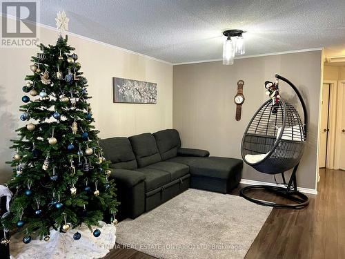 249 Martinet Avenue, London, ON - Indoor Photo Showing Living Room