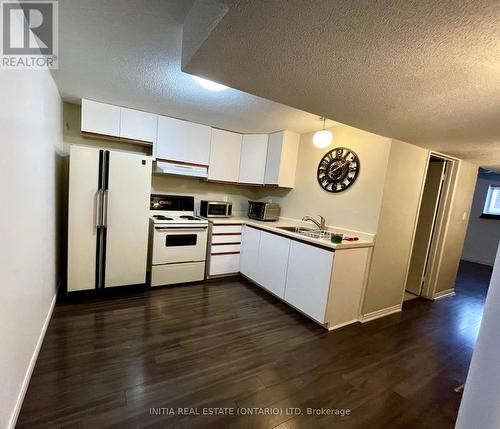 249 Martinet Avenue, London, ON - Indoor Photo Showing Kitchen