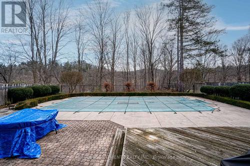 25 Terrace Drive, Hamilton, ON - Outdoor With In Ground Pool With Backyard