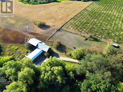 Barn and Horse Paddock - 