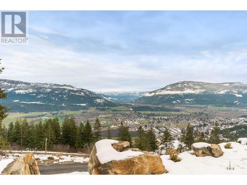 82 Twin Lakes Road, Enderby, BC - Outdoor With View