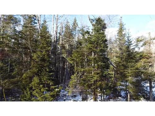 Lot 89-1 Plan 25-90, Three Tree Creek, NB 