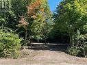 77347 Forest Ridge Road, Central Huron (Bayfield), ON 