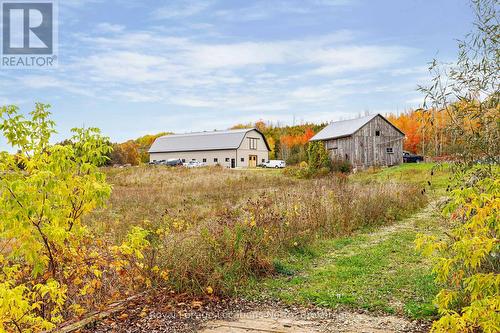 137662 12 Grey Road, Meaford, ON 