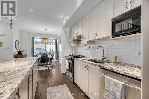 313 Twinflower Way, Ottawa, ON - Indoor Photo Showing Kitchen With Double Sink With Upgraded Kitchen