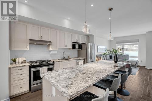 313 Twinflower Way, Ottawa, ON - Indoor Photo Showing Kitchen With Upgraded Kitchen