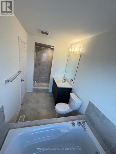 224 Port Crescent, Welland, ON - Indoor Photo Showing Bathroom