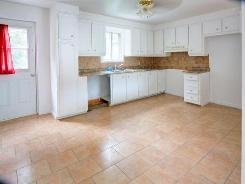 Cuisine - 305 Rue Josée, Sainte-Sophie, QC - Indoor Photo Showing Kitchen With Double Sink