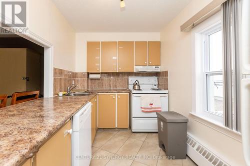 1102 - 20 Chesterton Drive, Ottawa, ON - Indoor Photo Showing Kitchen With Double Sink