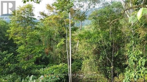 Lot8-65 Cinco Ventanas Road E, Costa Rica, ON 