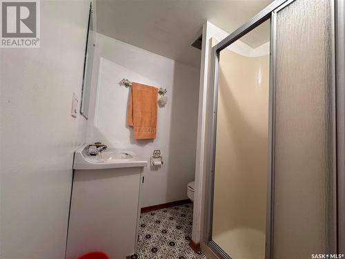 461 Railway Avenue S, Bruno, SK - Indoor Photo Showing Bathroom