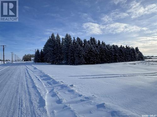 461 Railway Avenue S, Bruno, SK - Outdoor With View