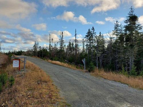 Eric Lane, Hay Cove, NS 