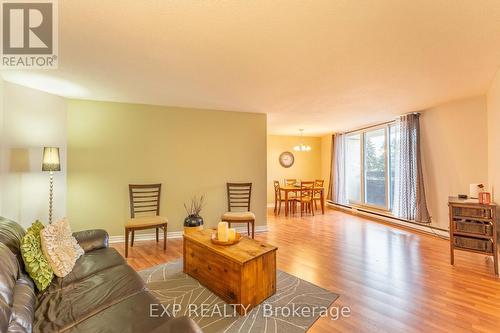 312 - 2000 Jasmine Crescent, Ottawa, ON - Indoor Photo Showing Living Room