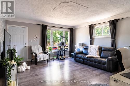 163 Camrose Avenue, Welland (773 - Lincoln/Crowland), ON - Indoor Photo Showing Living Room