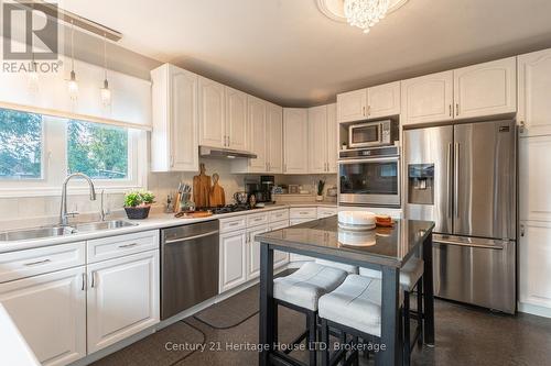 163 Camrose Avenue, Welland (773 - Lincoln/Crowland), ON - Indoor Photo Showing Kitchen With Double Sink