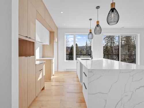 Cuisine - 1717 Ch. Du 1Er-Rang, Sainte-Lucie-Des-Laurentides, QC - Indoor Photo Showing Kitchen