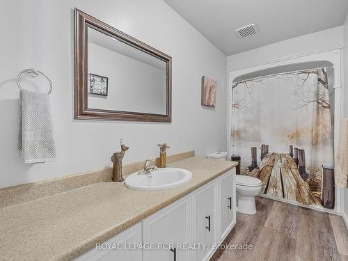 72 Cooper St, East Luther Grand Valley, ON - Indoor Photo Showing Bathroom