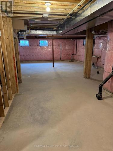 143 Cole Terrace, Woodstock, ON - Indoor Photo Showing Basement