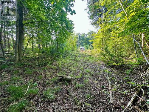 Lot 5 26 Highway, Meaford, ON 