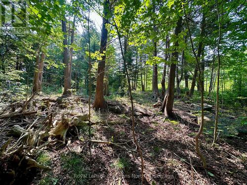 Lot 5 26 Highway, Meaford, ON 