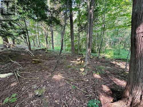 Lot 5 26 Highway, Meaford, ON 