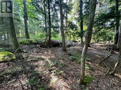 Lot 5 26 Highway, Meaford, ON 