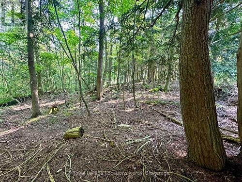 Lot 5 26 Highway, Meaford, ON 