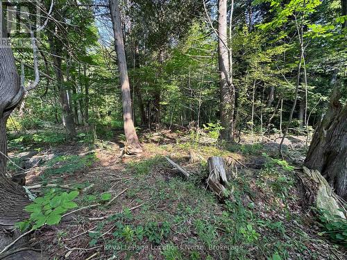 Lot 5 26 Highway, Meaford, ON 