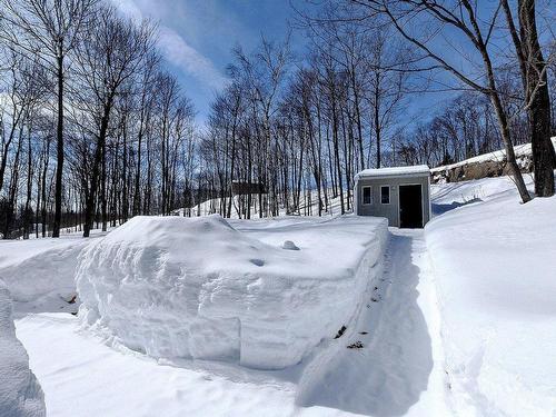 Backyard - A-222 Rue Sandy, Sainte-Sophie, QC - Outdoor